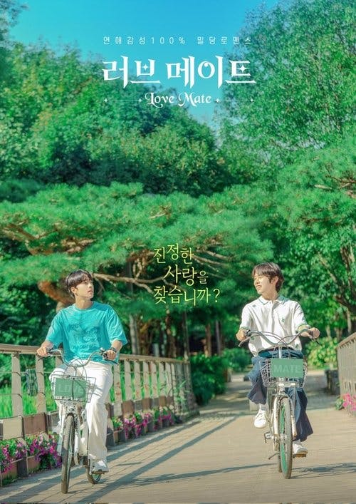 Companheiros no Amor poster