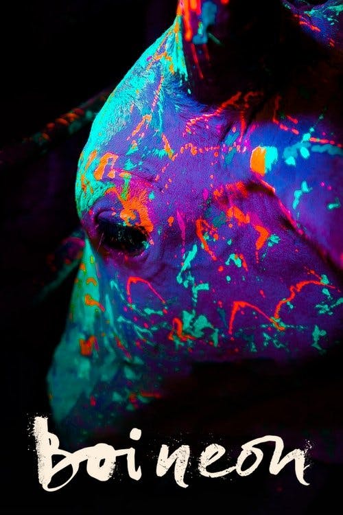 Boi Neon poster