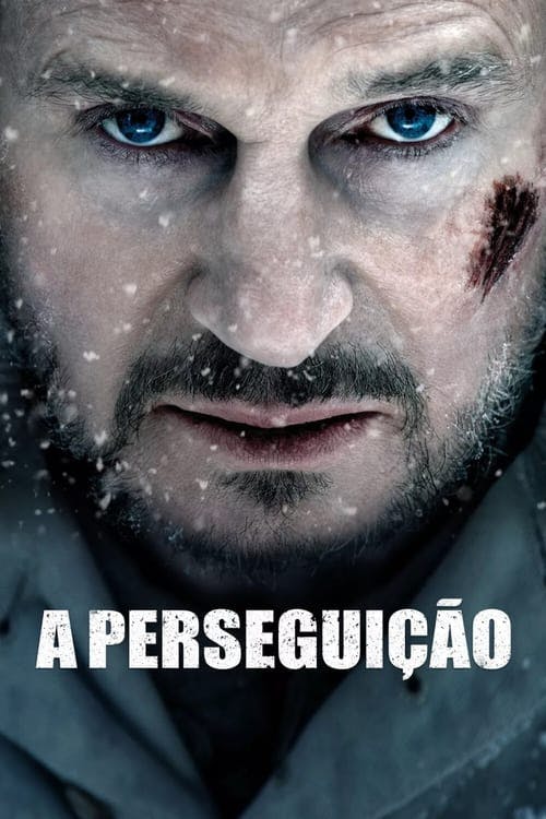 A Perseguição poster