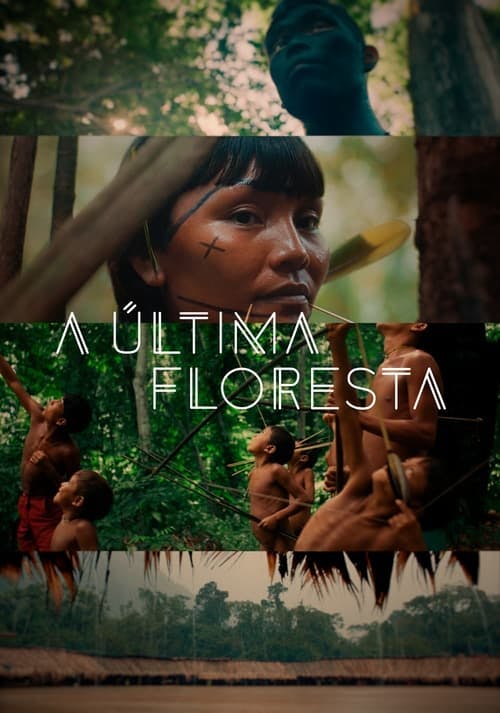 A Última Floresta poster