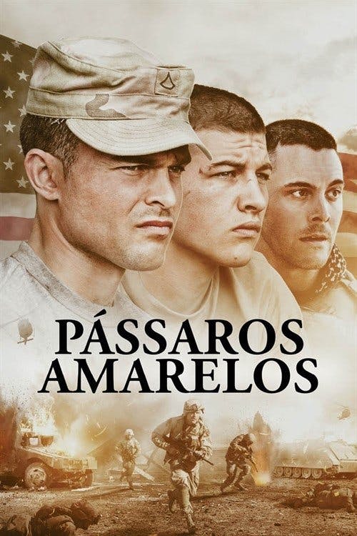 Pássaros Amarelos poster