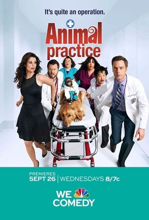 Assistir Animal Practice Online