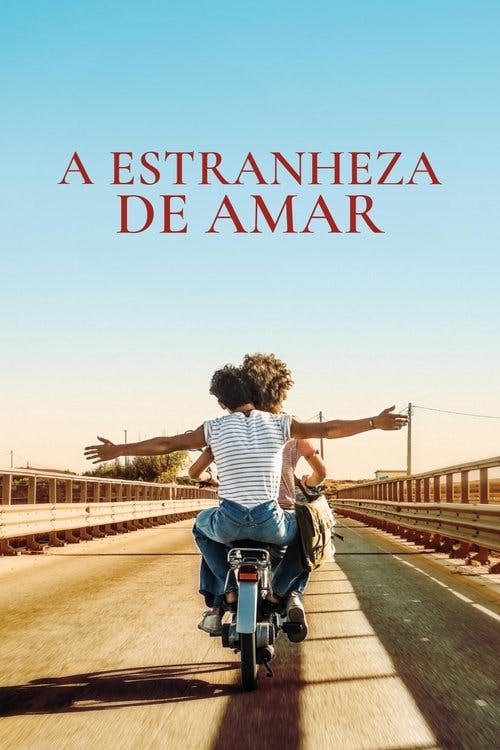 A Estranheza de Amar poster