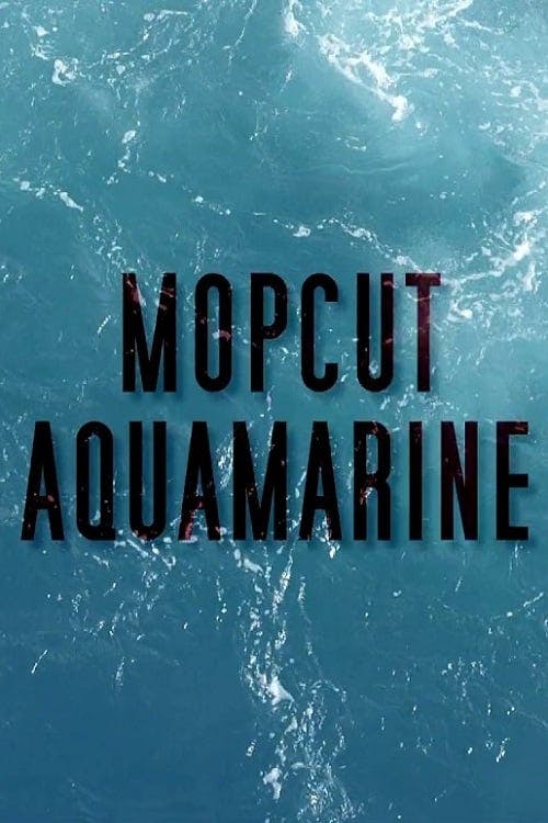 Aquamarine poster