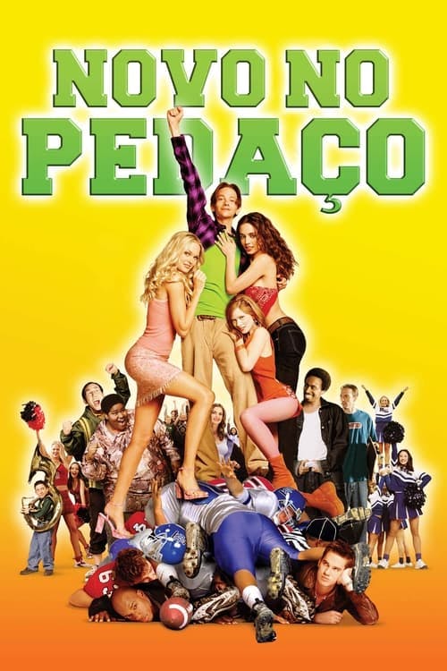 Novo no Pedaço poster