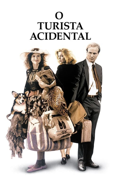 O Turista Acidental poster