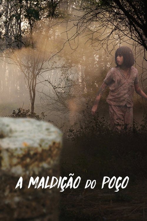 A Maldição do Poço poster