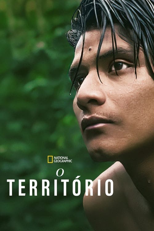 O Território poster