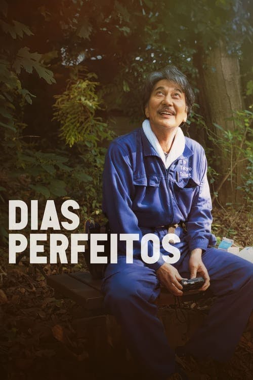Dias Perfeitos poster