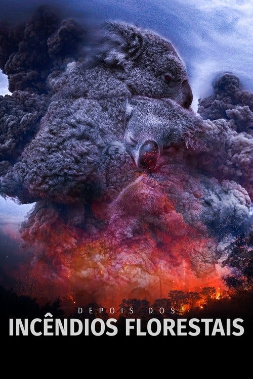 Depois dos Incêndios Florestais poster