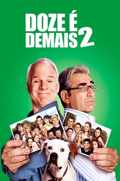 Doze é Demais 2 poster
