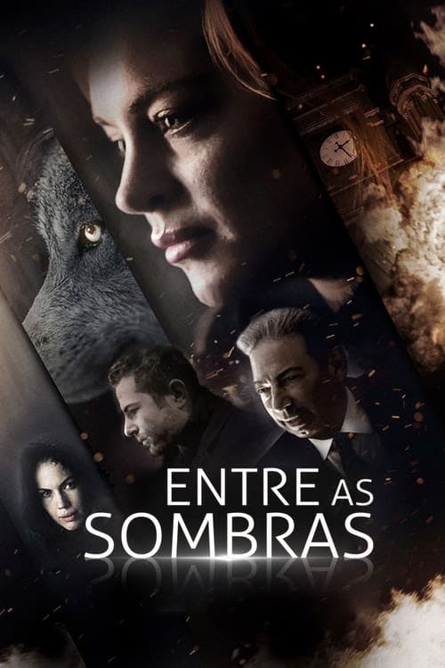 Entre as Sombras poster