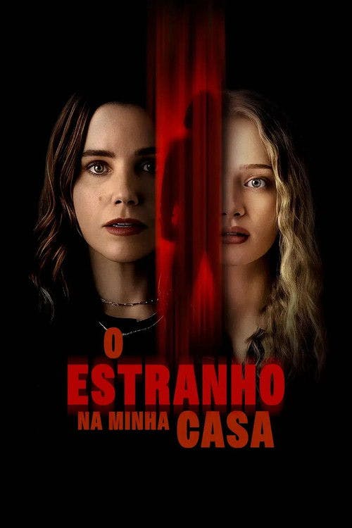 O Estranho na Minha Casa poster