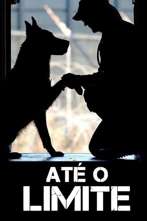 Até o Limite poster
