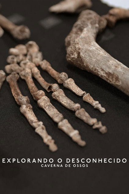 Explorando o Desconhecido: Caverna de Ossos poster