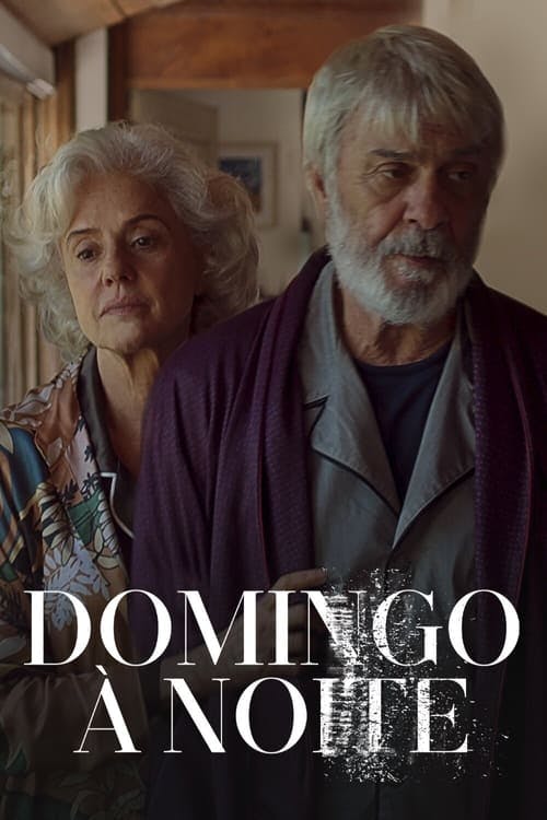 Domingo à Noite poster