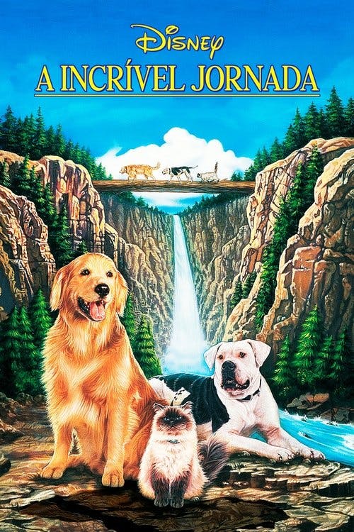 A Incrível Jornada poster