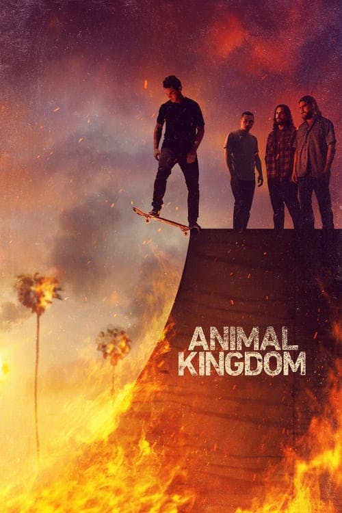 Assistir Animal Kingdom Online em HD