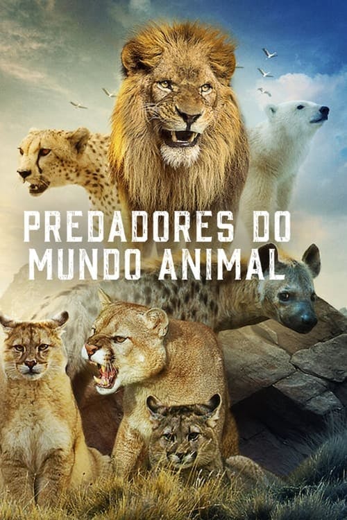 Assistir Predadores do Mundo Animal Online