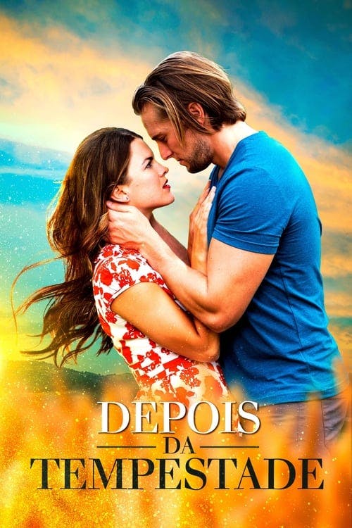 Depois da Tempestade poster