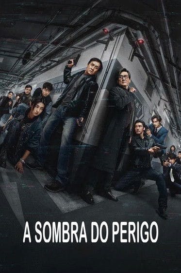 A Sombra Do Perigo poster