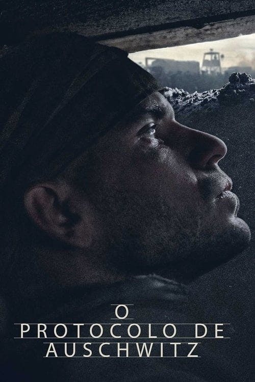 O Protocolo de Auschwitz poster