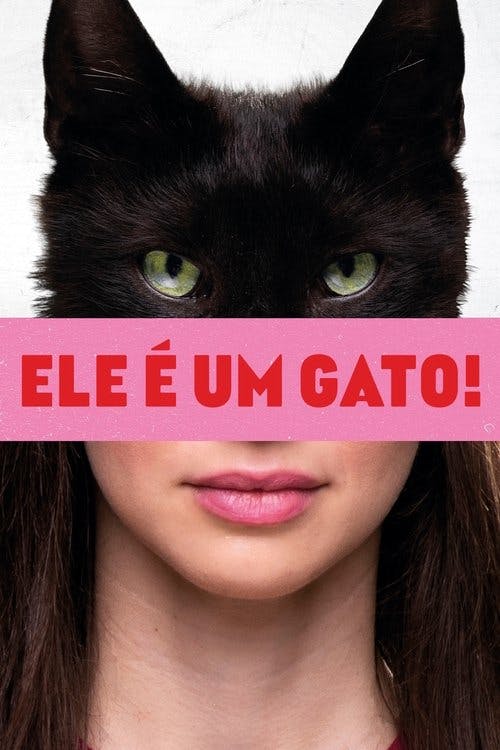 Ele é Um Gato! poster