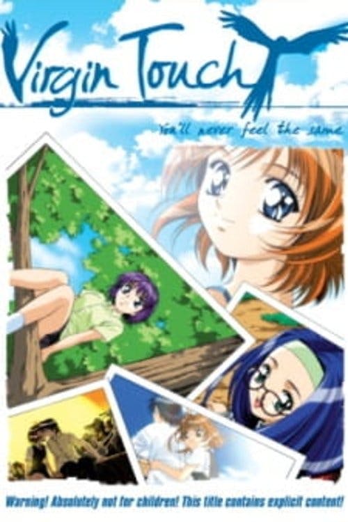 Flutter Of Birds 2 poster