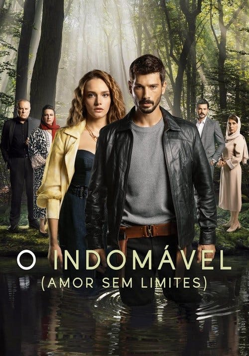 Amor sem limites poster