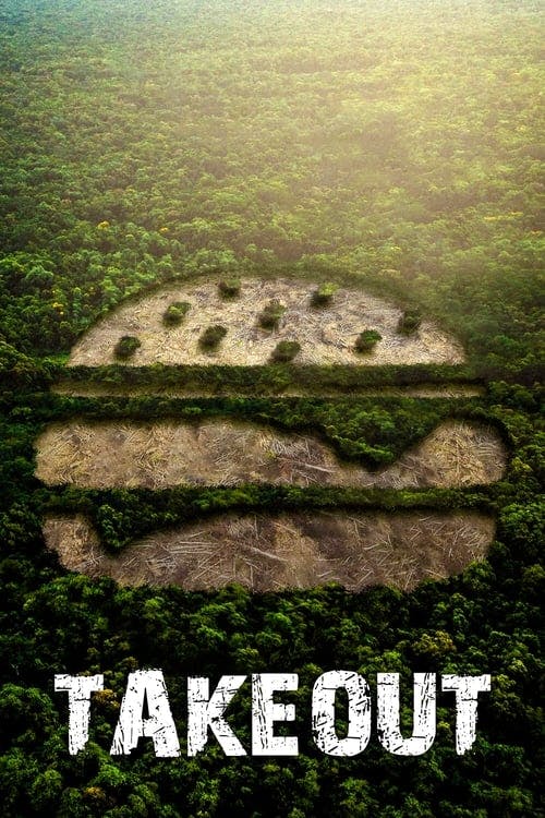 Amazônia Em Chamas poster