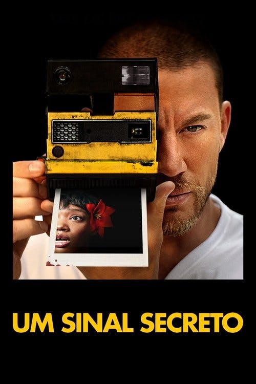 Pisque Duas Vezes poster