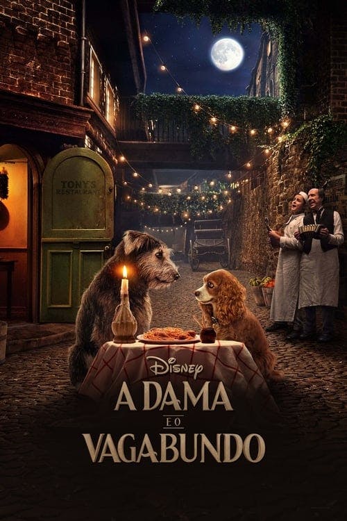 A Dama e o Vagabundo poster