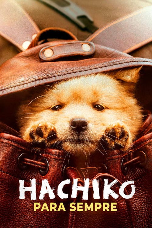 Hachiko Para Sempre poster