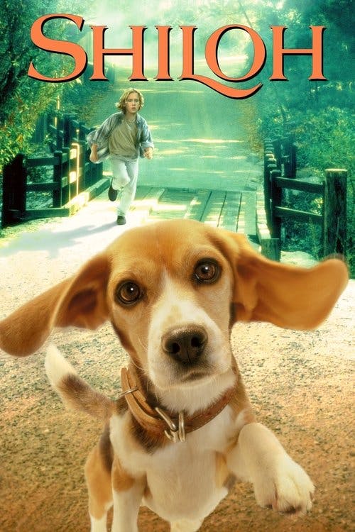 Shiloh - O Melhor Amigo poster