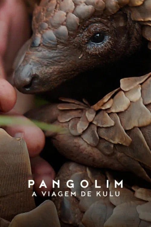 Pangolim: A Viagem de Kulu poster
