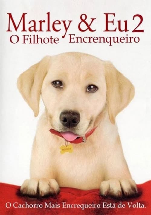 Marley & Eu 2 - Filhote Encrenqueiro poster