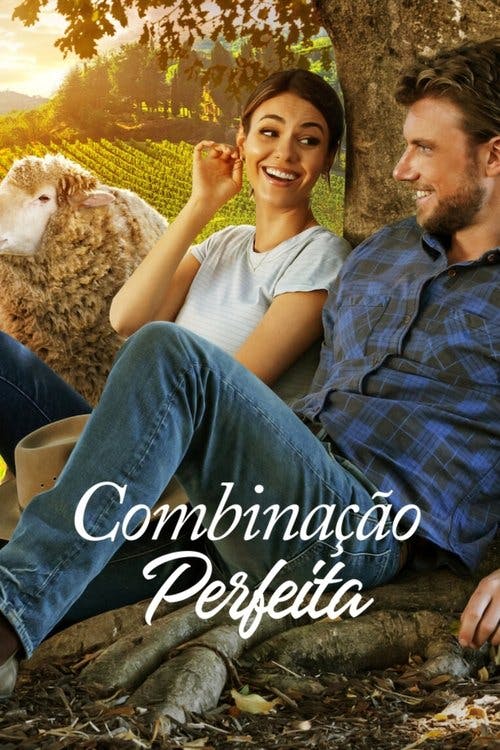 Combinação Perfeita poster