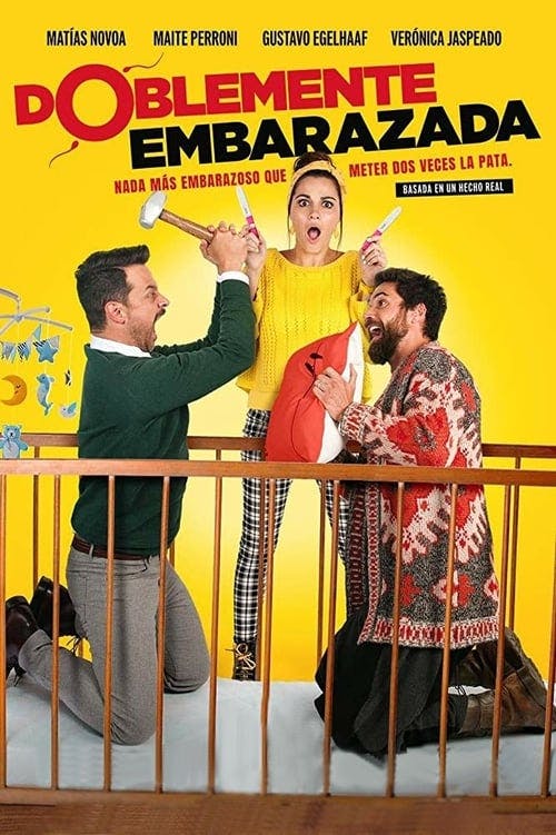 Duplamente Grávida poster