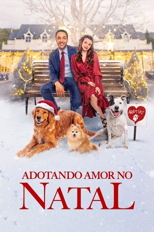Adotando Amor no Natal poster