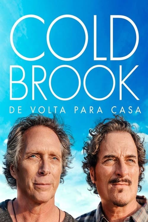 Cold Brook: De Volta Para Casa poster