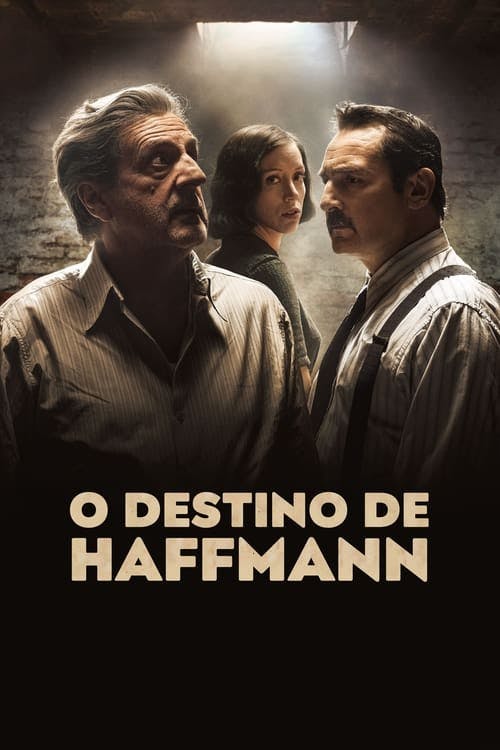 O Destino de Haffmann poster