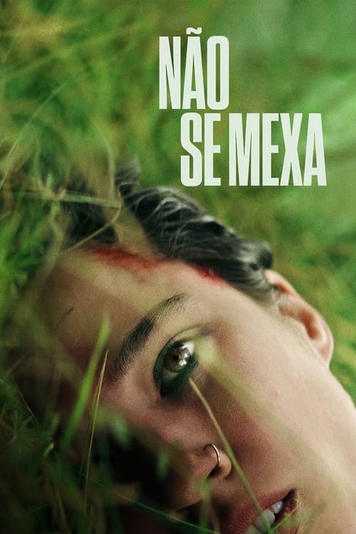 Não Se Mexa poster