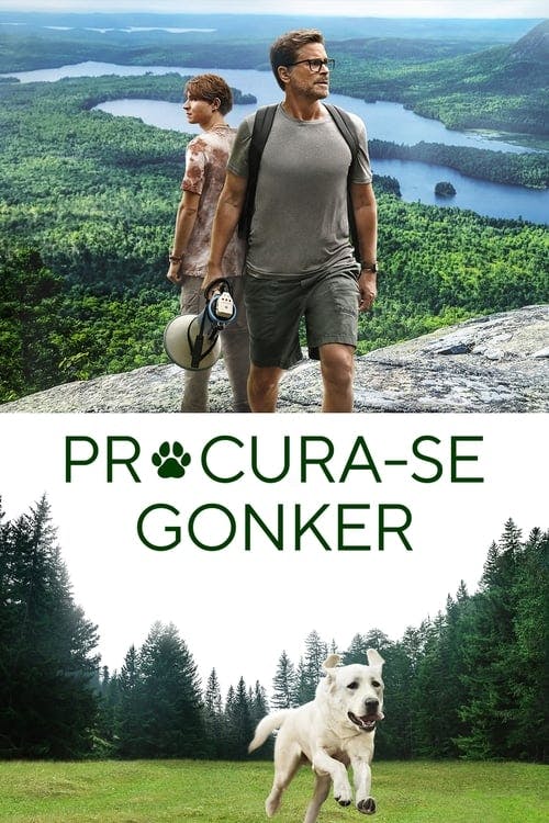 Procura-se Gonker poster