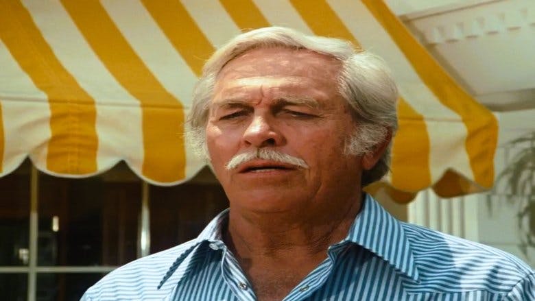 Assistir Dallas Temporada 11 Episódio 8 Online em HD