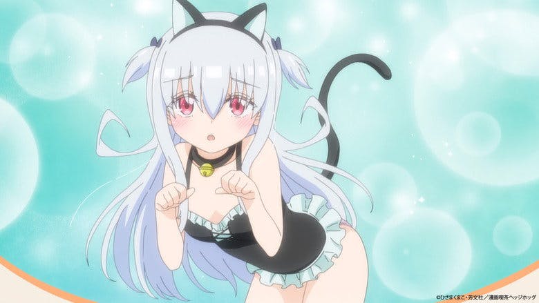 O Hedgehog Vai Fechar?! Temos Que Remodelar os Negócios!