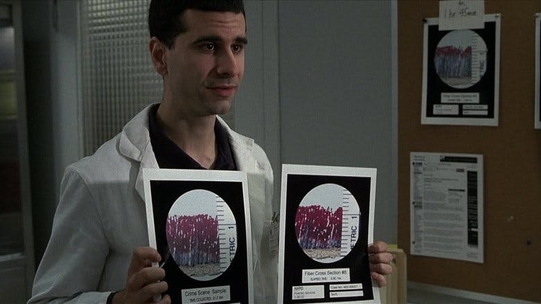 Assistir Lei & Ordem Temporada 12 Episódio 13 Online em HD