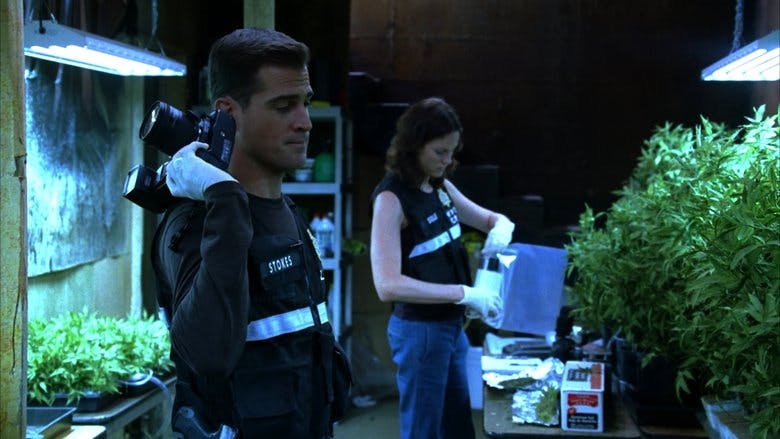 Assistir CSI: Investigação Criminal Temporada 6 Episódio 5 Online em HD