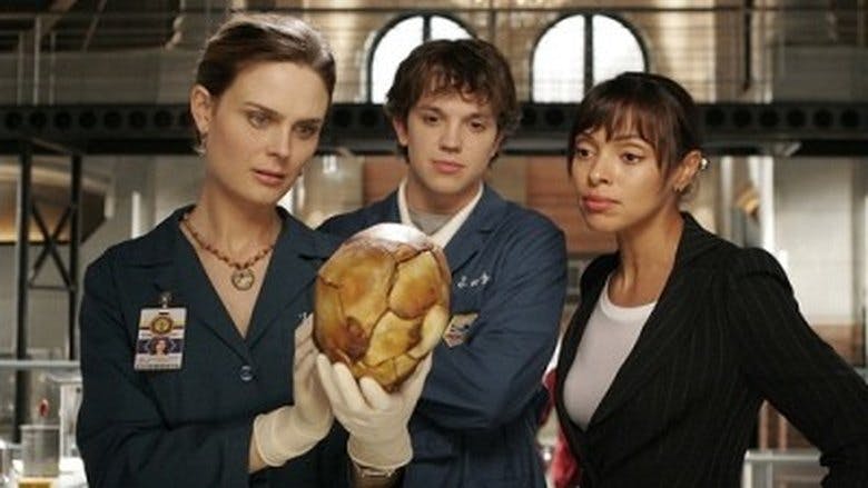 Assistir Ossos Temporada 2 Episódio 1 Online em HD