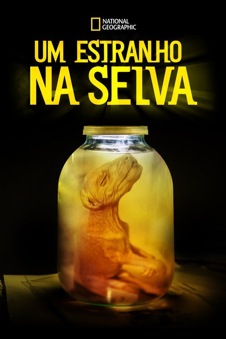 Assistir Um Estranho na Selva Temporada 2 Episódio 11 Online em HD