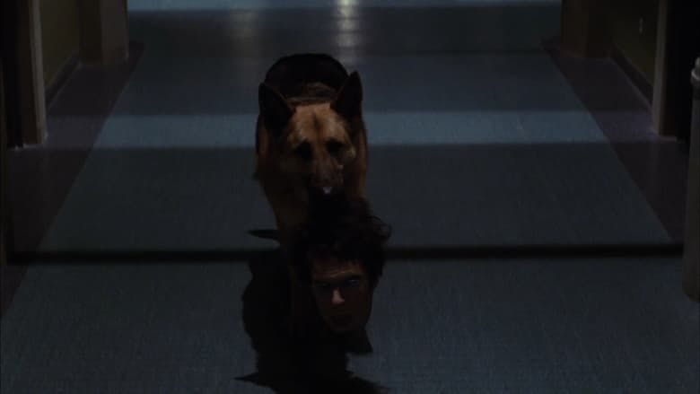 Assistir Reino Hospitalar Temporada 1 Episódio 7 Online em HD